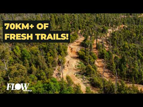 Shredding Mogo Trails | Exploring the NSW South Coast’s newest MTB destination