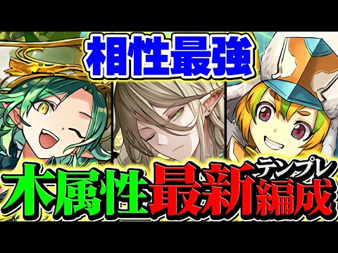 執事アルバート×酒イベントキャラ=木属性最強編成、ここに完成！評価急上昇確定！【パズドラ】