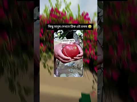 #music #song #coversong #love #funny #arrahman #bollywood #newsong #dance #newmusic