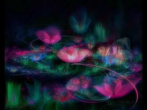 Butterfly - Kevin Kern