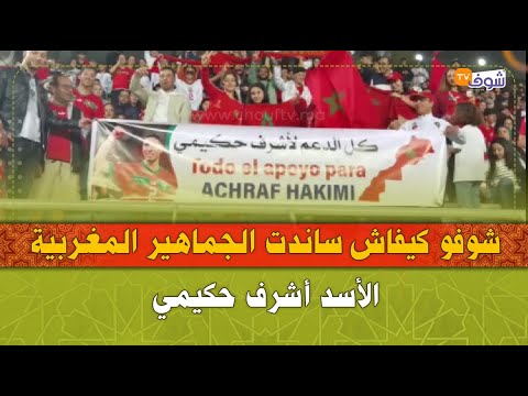 شوفو كيفاش ساندت الجماهير المغربية الأسد أشرف حكيمي في مباراة المغرب والبرازيل