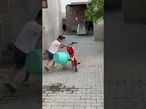 A small dog has fun playing with a boy 🐕🏄🤪 #short #enjoy