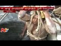 Man saved after falling into a well in Tirumala - Visuals