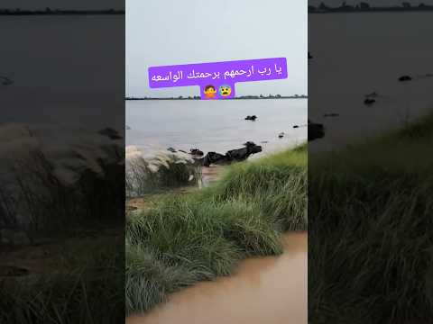 يا رب ارحمهم برحمتك الواسعه 🙅😰