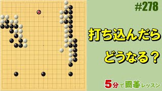 #囲碁 #実戦譜 #打ち込み #消し #５目中手 #中盤 #棋譜添削 #初級者でも分かる
将碁友の会の音声教室から、ポイント部分を切り抜いて3分～5分程度の短い動画にして公開しています。
音声教室は、ネット上で先生と会話ができて、碁盤の画面を共有しながら参加できるオンライン授業です。
講師は伊達利夫アマ７段

将碁チャンネル
https://www.youtube.com/@将碁友の会

将碁友の会
https://www.syougo.jp/