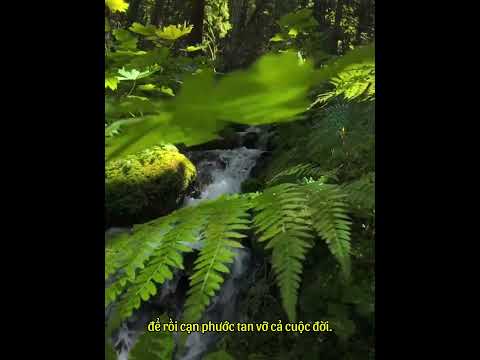 SỐNG CỐNG HIẾN CHO ĐỜI