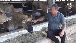 Estância Vale Verde – dedicação e muito capricho na produção de leite de qualidade com gado Jersey