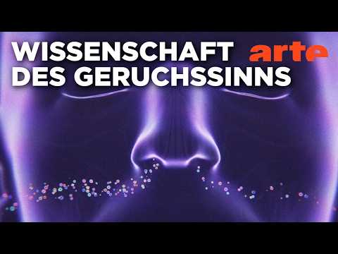 Riechen: Auf der Fährte des verkannten Sinns | Doku HD Reupload | ARTE