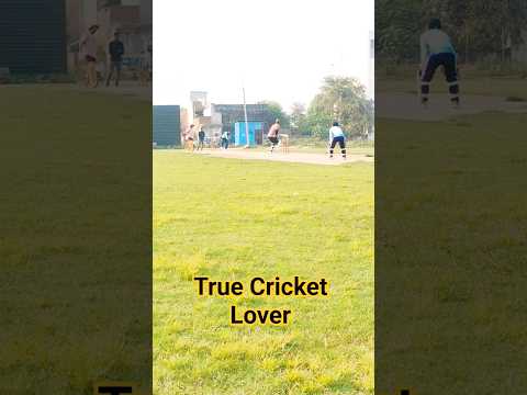 Only True Cricket Lovers Will Relate! 🏏🔥 | #Shorts #Cricket #trending #viral #youtubeshorts #fyp