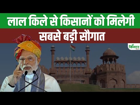 PM Kisan News:15 अगस्त पर किसानों को तोहफा, पीएम किसान सम्मान निधि में बढ़ोतरी का ऐलान संभव