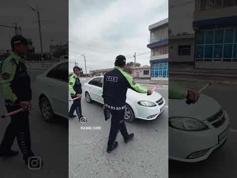 ٢٩ أكتوبر ٢٠٢٥