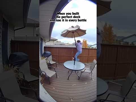 The flight was great but short ☂️