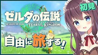 【ティアキン】自由な世界で寄り道大好き！初見【ゼルダの伝説ティアーズオブザキングダム 女性実況 Vtuber なちゅモカ】115