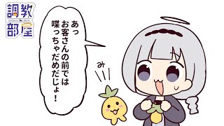 ⋆⸜ 調教部屋  ⸝⋆ ・:*+.(( °ω° ))/.:+【白百合リリィ / ビビドニア 】
