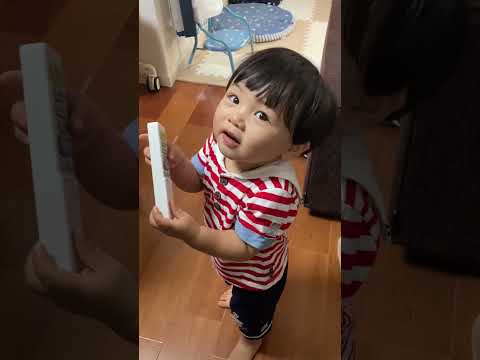 犬との付き合い方が下手な子。【1歳8ヶ月】
