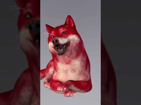 Funny red dog! #dog #funny