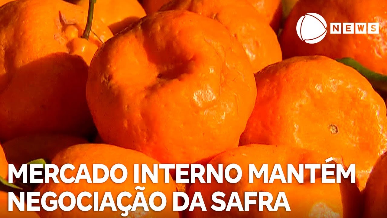 Mercado interno de citros mantém a negociação da safra 20252026