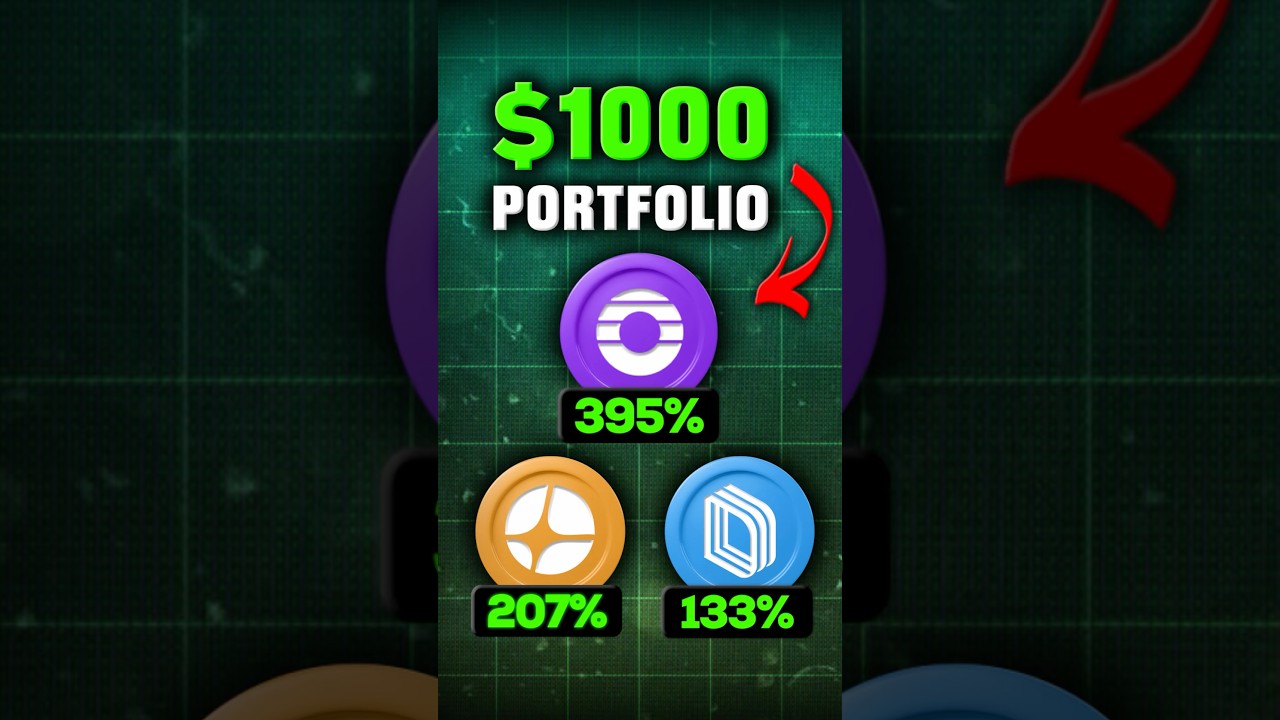 Best $1000 Perp Dex Portfolio 🤑