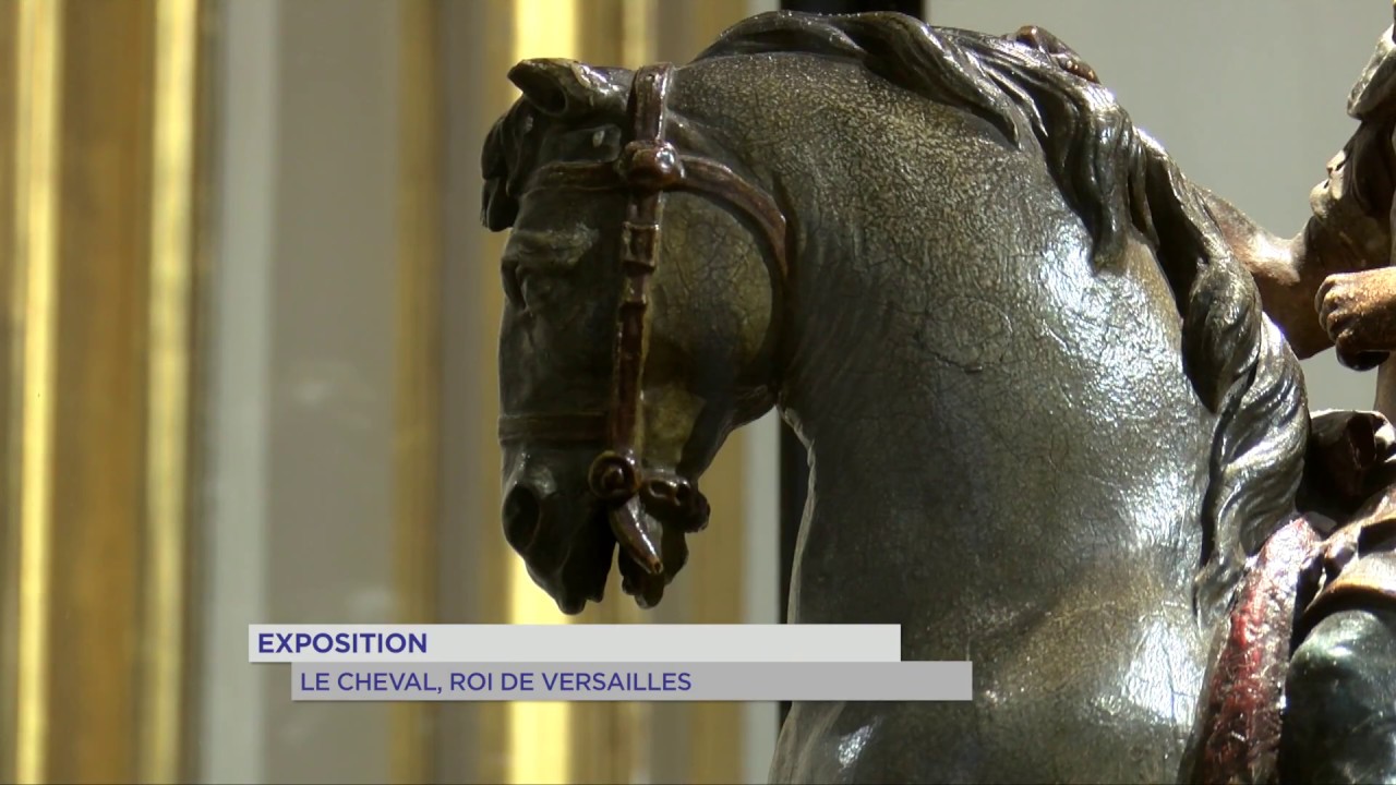 Exposition : Le Cheval ‘Roi’ à Versailles