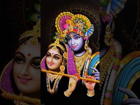 jamana dewana hai #shortsfeed