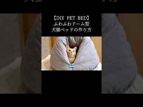 【DIY PET BED】ドーム型犬猫ベッドの変わった作り方#Shorts