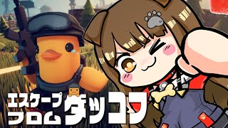 【 初見 ダッコフ 】倉庫を壊滅させたい🐣～捨てたものが必要になるのなんで～【遠吠きゃん】