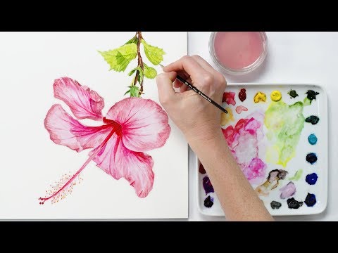 How to paint a realistic hibiscus flower in watercolour with Anna Mason