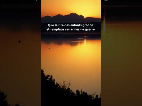 Le rire des enfants #citation #proverbes #youtubeshorts #quotes #guerre #citationdujour #yt #peace