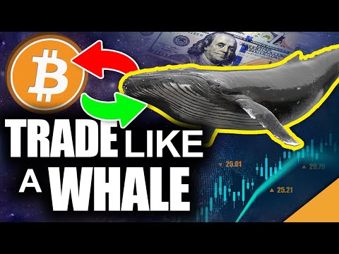 Trade Bitcoin Like a Whale (Best Way to Take BIG Crypto Profits)