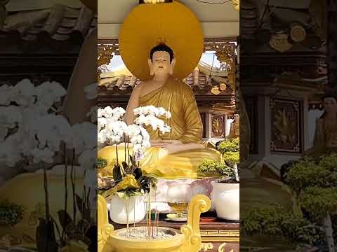 OAN TRÁI TRẢ XONG RỒI THÌ TRỜI MÂY TẠNH