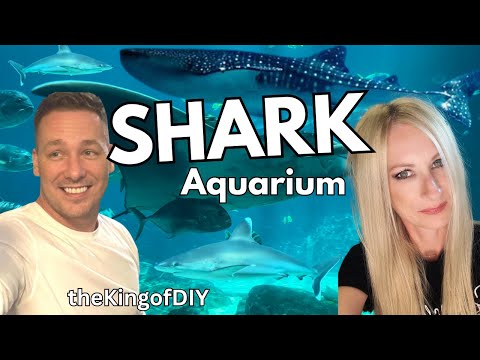 The king of DIY and ScienceGal Aquatics visit Larg Super excited to join Joey @thekingofdiy to see the Largest Aquarium in North America, the Georgia A