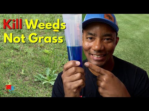 Kill Weeds and NOT Your Grass with this POTENT Combo