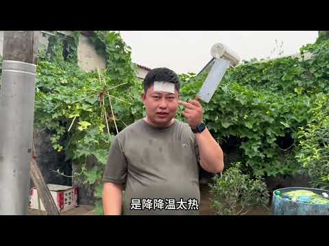 老家才是疲惫生活里的解药,在老家的日子里总是充满欢声笑语……#四胞胎 #老家 #日常vlog