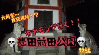 ゆずモンが行く！豊田前田公園！💀