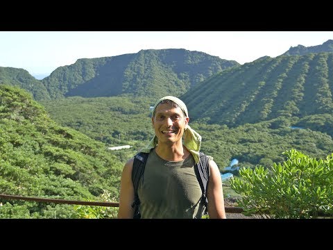 Message from a Volcanic Island Jungle ? ONLY in JAPAN