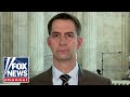 Tom Cotton: Biden is scared to death of escalation with Iran