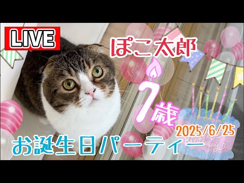 ぽこ太郎の7歳お誕生日パーティー！