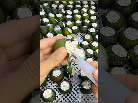 Crazy China Traditional Tea ☕️ #factsintelugu #telugufacts #amazinhfacts #shorts #tejfacts