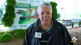 3ª Etapa Feno Rio Paraná do CNRJ, apresenta excepcional amostra de gado Jersey na Feagro 2024