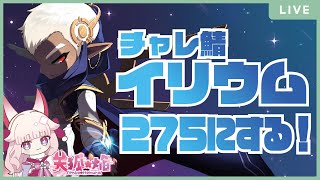 【チャレ鯖】🌸イリウム275にしましょう！✨ #メイプルストーリー #vtuber #チャレ鯖