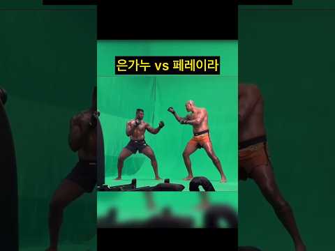 은가누가 작아보여??!! 페레이라 vs 은가누 ㄷㄷ