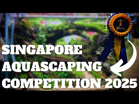 SINGAPORE AQUASCAPING COMPETITION 2025 - Aquatic G It's that time of the year again where Singapore aquascaping competition is held and 30 participants