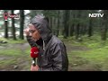 Himachal Flood: मनालसू नदी की तबाही, Manali बर्बाद, जंगल क्यों बचे? हिमाचल में बार-बार आपदा क्यों?  - 03:46 min - News - Video