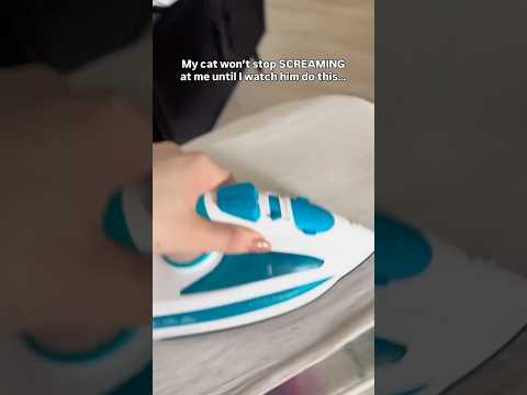 Her cat made her stop for this💀