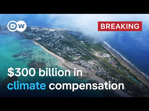 COP29 deal reached on climate financing for poorer nations after days of deadlock | DW News
