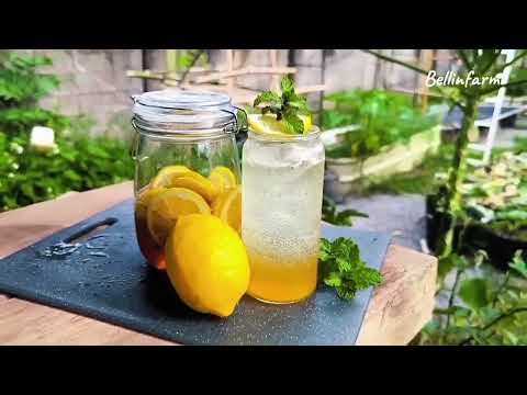 Vlog เสิร์ฟจากสวน | Lemon Honey  Garden Harvest #gardening #vlog #harvest #bellinfarm #farming 