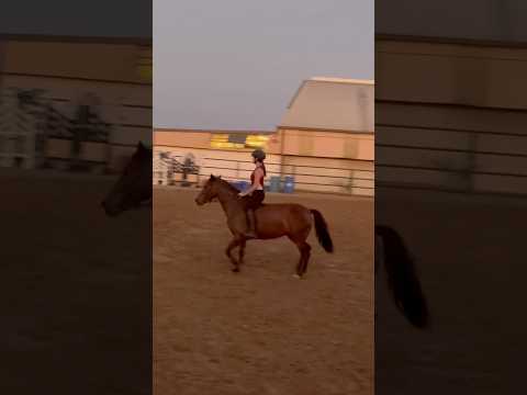 guys i finally have videos to post #horse #equestrian #equestrianriding #riding #pony