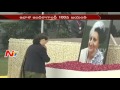 Indira Gandhi 100 th Birth Anniversary : Rahul, Sonia Pay Tribute