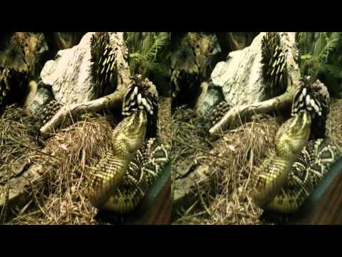 Snake 3D -(YT3D:Enabled=True)