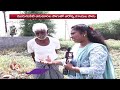 Ground Report On Vegetable Cultivation with Drainage Water |  V6 News  - 13:43 min - News - Video
